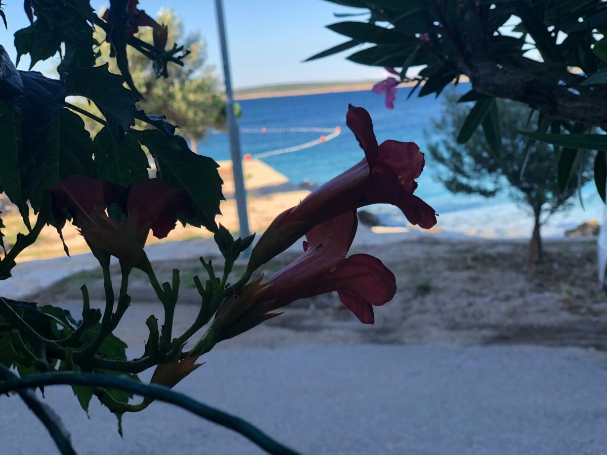 Croatia Mandre Apartment Bagian luar foto