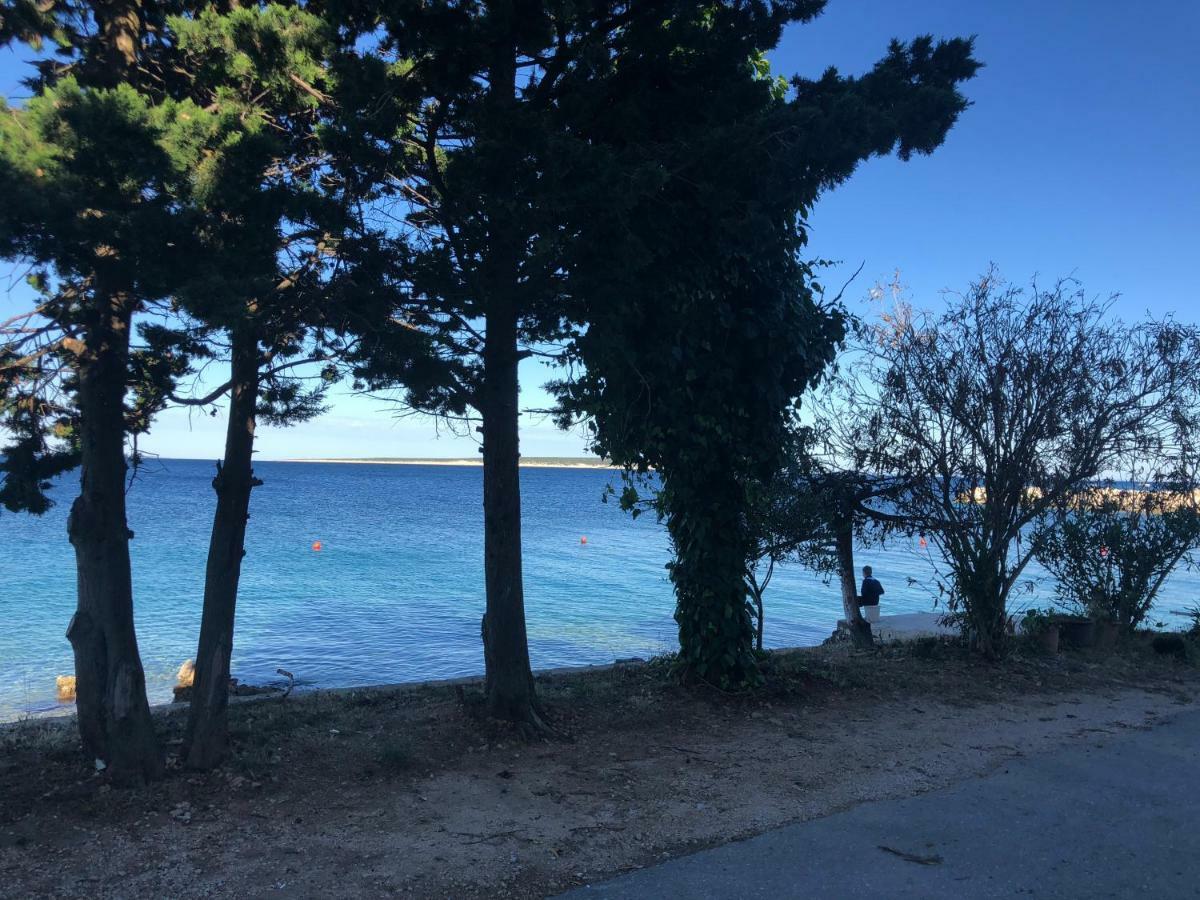 Croatia Mandre Apartment Bagian luar foto